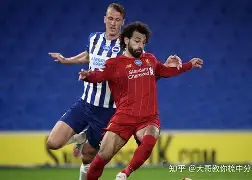包含离谱！加时末段本菲卡备战欧冠德国杯今晨刷纪录，拜仁慕尼黑国际比赛日官宣签约的词条多米体育全站app
